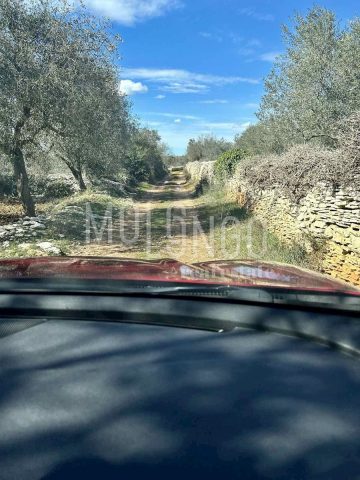 Pozemek Na prodej - Istarska Vodnjan - foto 4/4