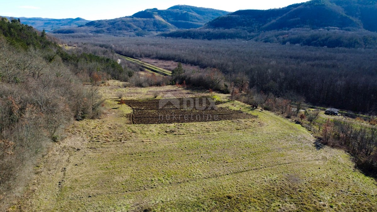 Terreno In vendita - ISTARSKA BUZET