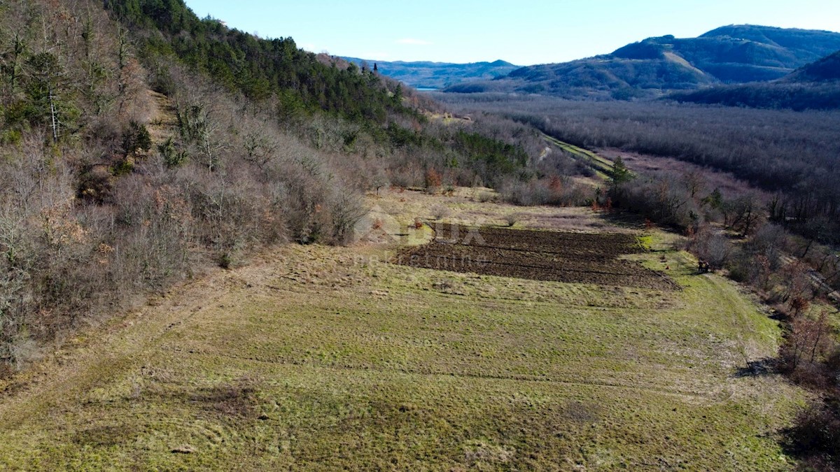 Land For sale - ISTARSKA BUZET