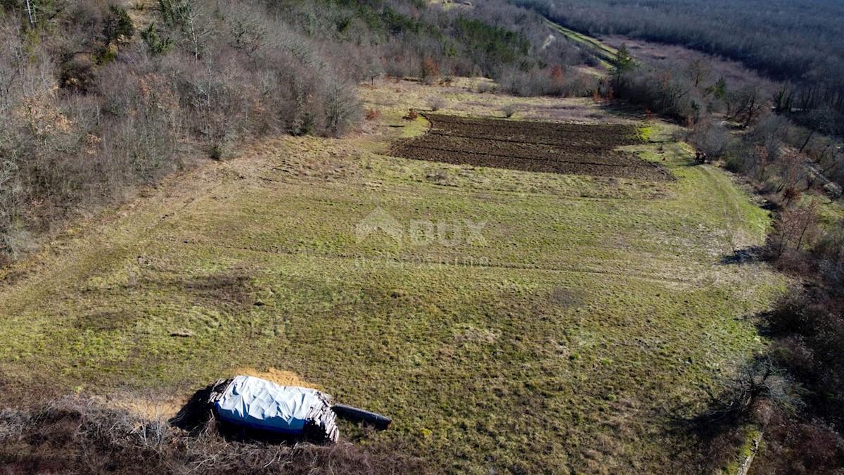 Land For sale - ISTARSKA BUZET