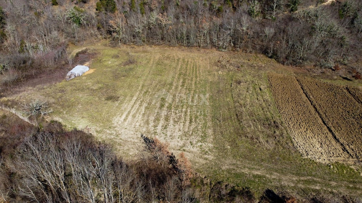 Terreno In vendita - ISTARSKA BUZET