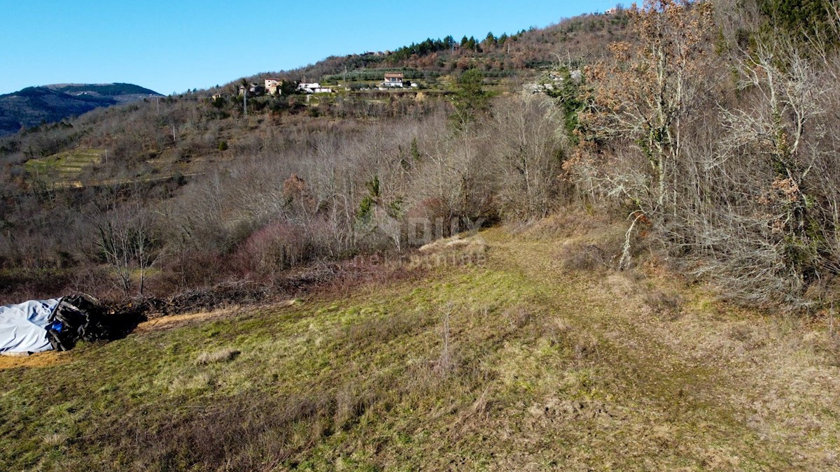 Land For sale - ISTARSKA BUZET