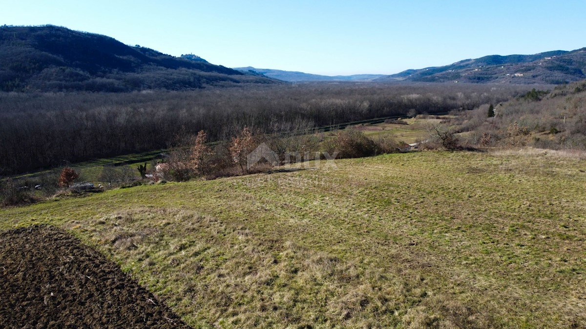 Land For sale - ISTARSKA BUZET