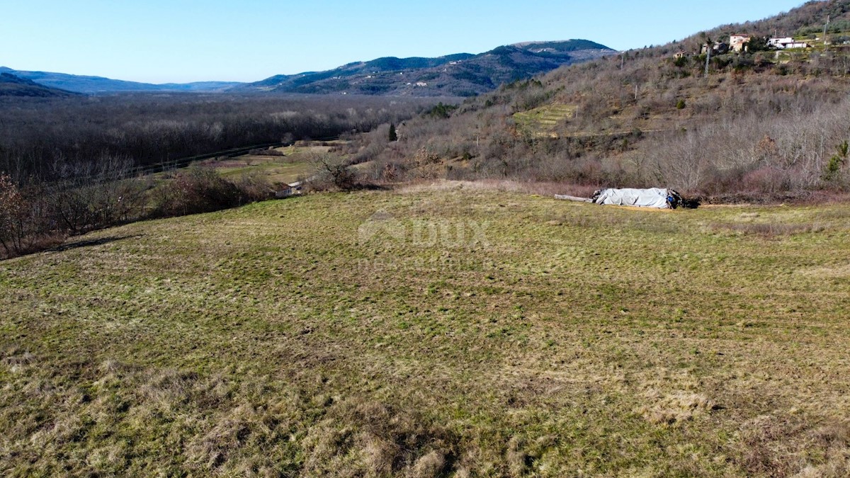 Land For sale - ISTARSKA BUZET