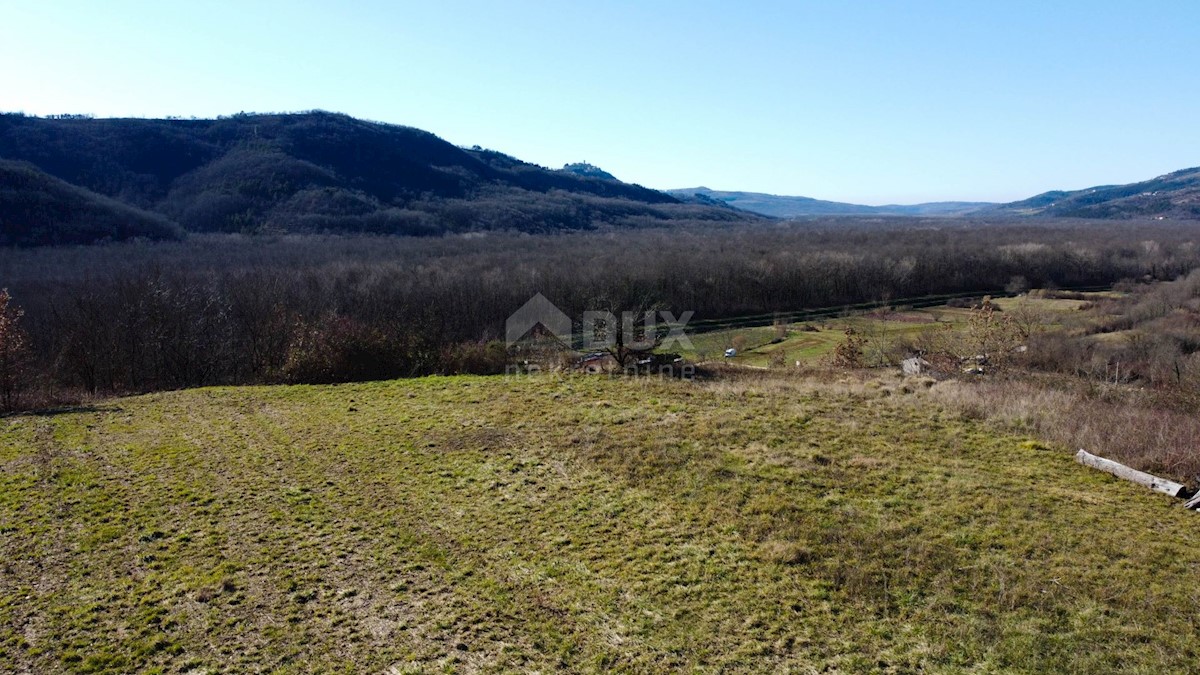 Land For sale - ISTARSKA BUZET