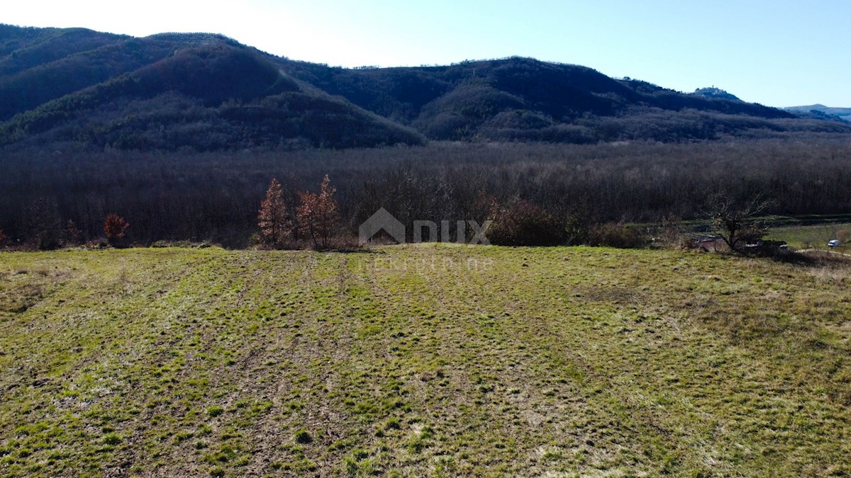 Land For sale - ISTARSKA BUZET