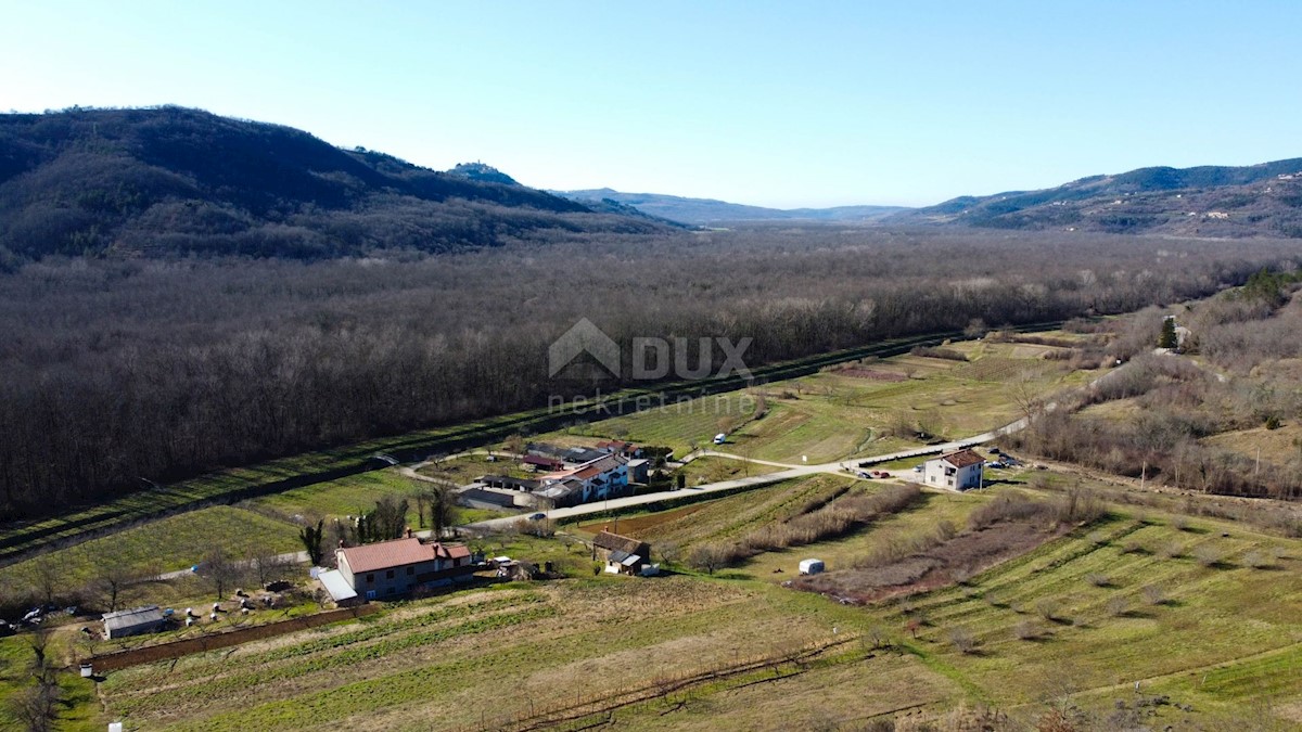 Land For sale - ISTARSKA BUZET