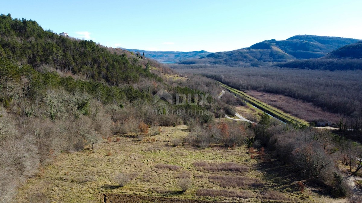 Land For sale - ISTARSKA BUZET