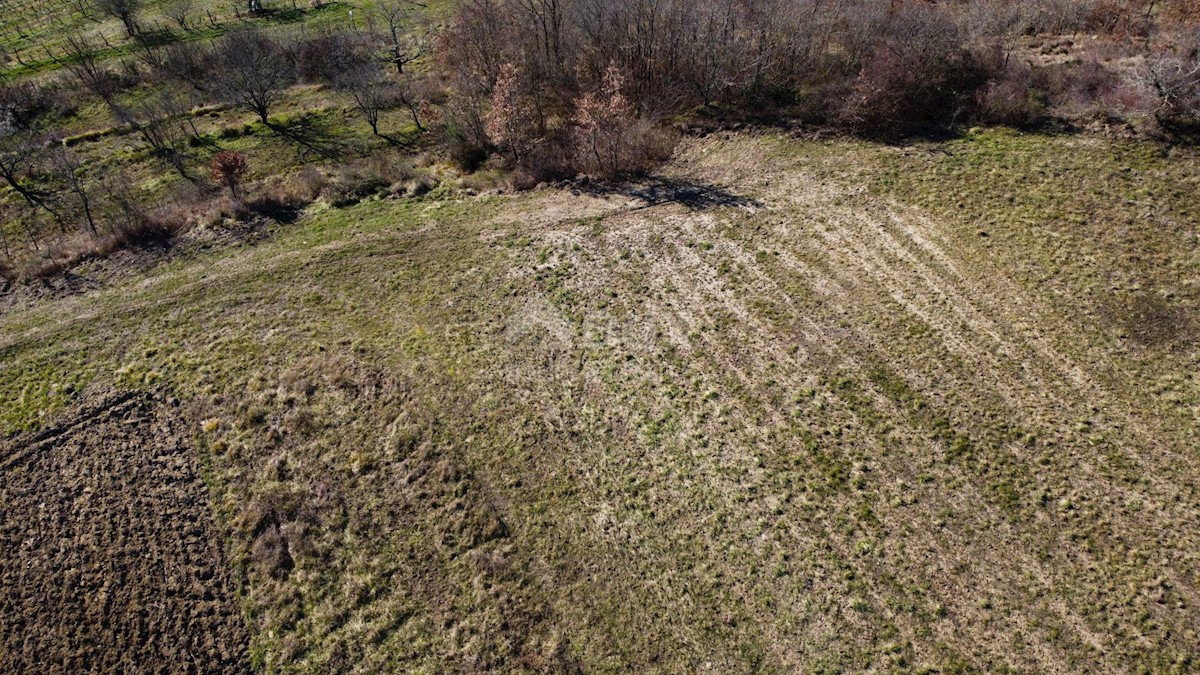 Land For sale - ISTARSKA BUZET