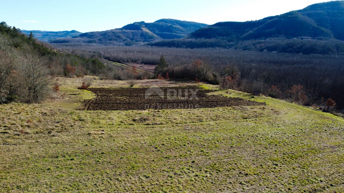 Land For sale - ISTARSKA BUZET