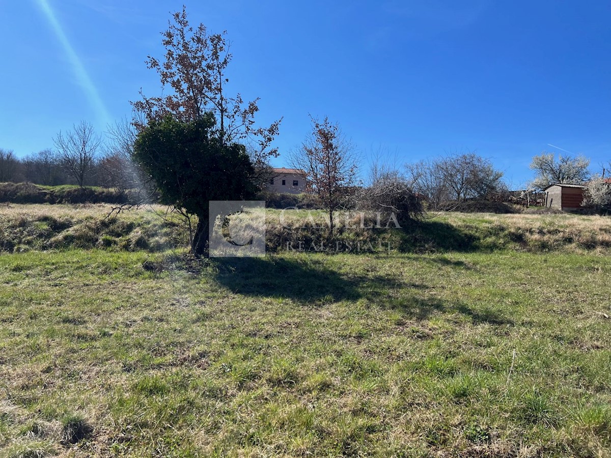Terreno In vendita - ISTARSKA KAROJBA