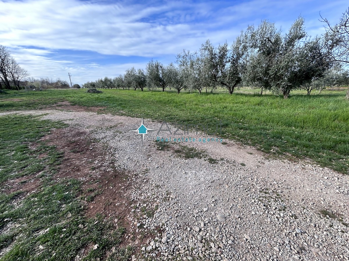 Land For sale - ISTARSKA UMAG