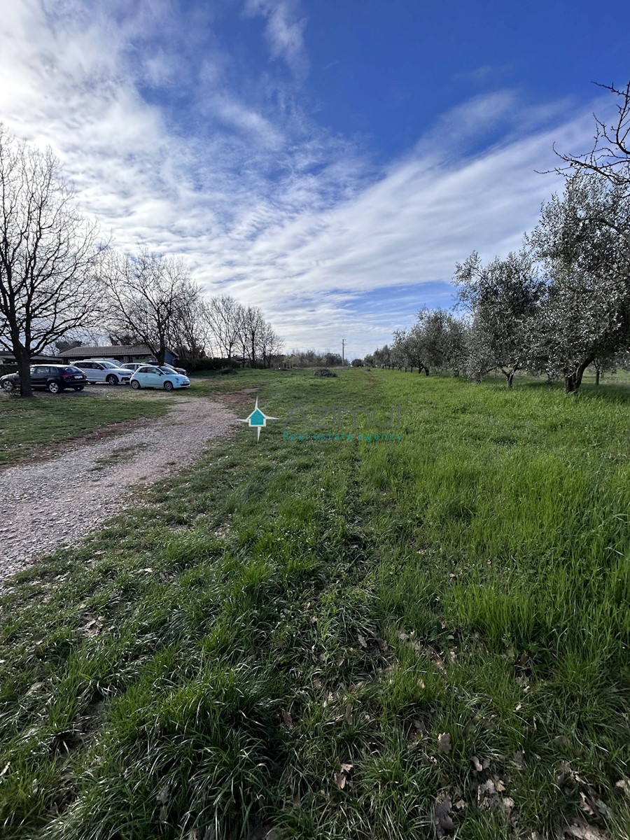 Land For sale - ISTARSKA UMAG