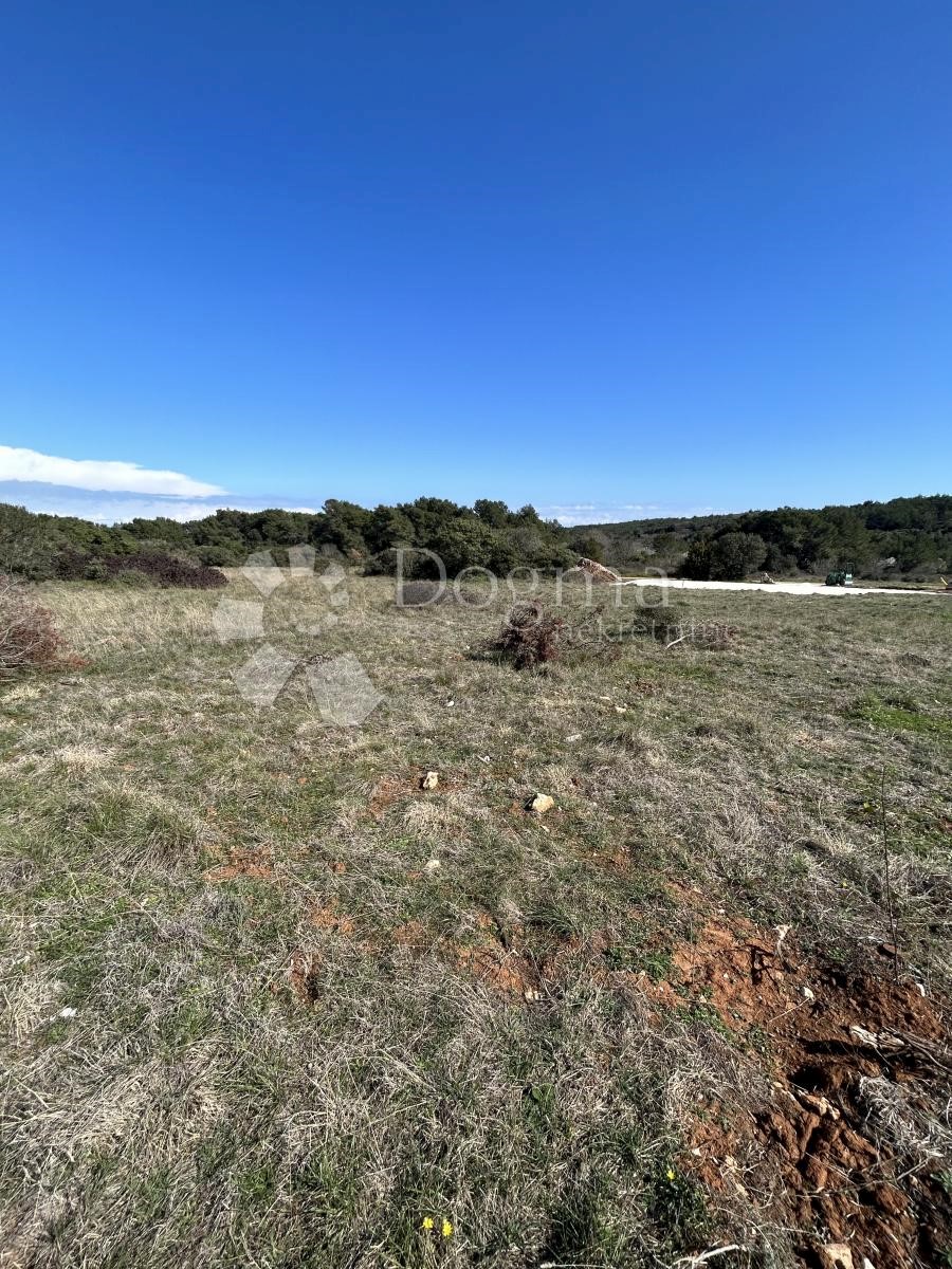 Land For sale - ISTARSKA MEDULIN