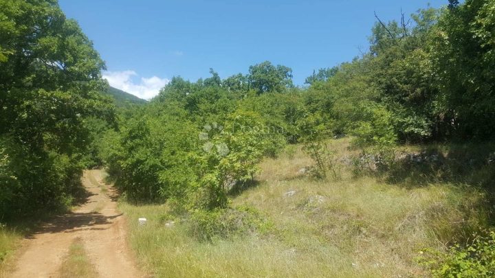Land for sale 3057 m² – Golovik