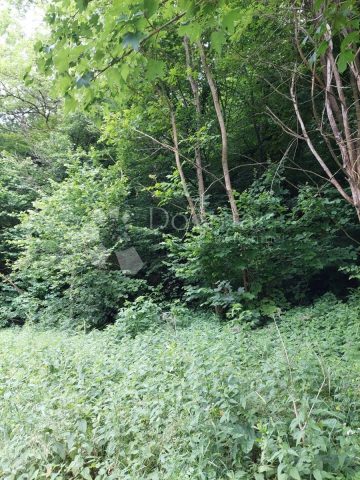 Grundstück zu verkaufen 7056 m² – Beletinec