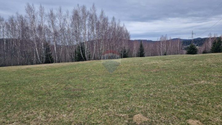 Terreno in vendita 29575 m² – Kupjak