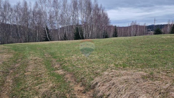 Pozemek Na prodej - Primorsko-goranska Ravna Gora - foto 4/6