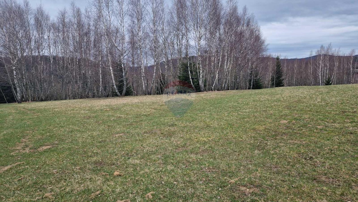 Land For sale - PRIMORSKO-GORANSKA RAVNA GORA