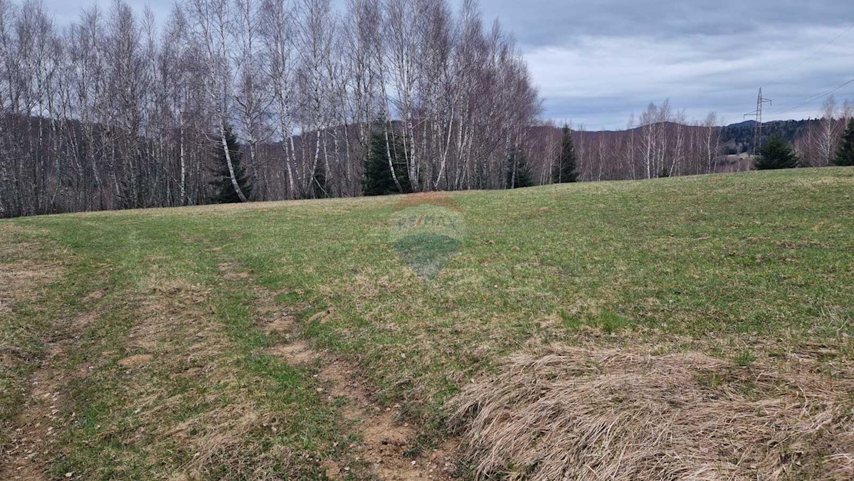 Land For sale - PRIMORSKO-GORANSKA RAVNA GORA