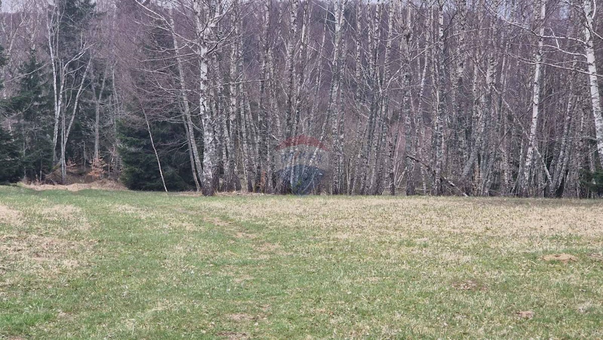 Land For sale - PRIMORSKO-GORANSKA RAVNA GORA