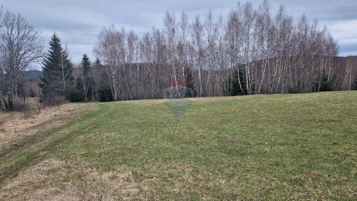 Land For sale - PRIMORSKO-GORANSKA RAVNA GORA