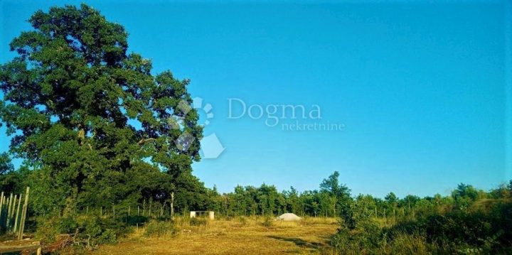 Pozemek na prodej 27000 m² – Svetvinčenat