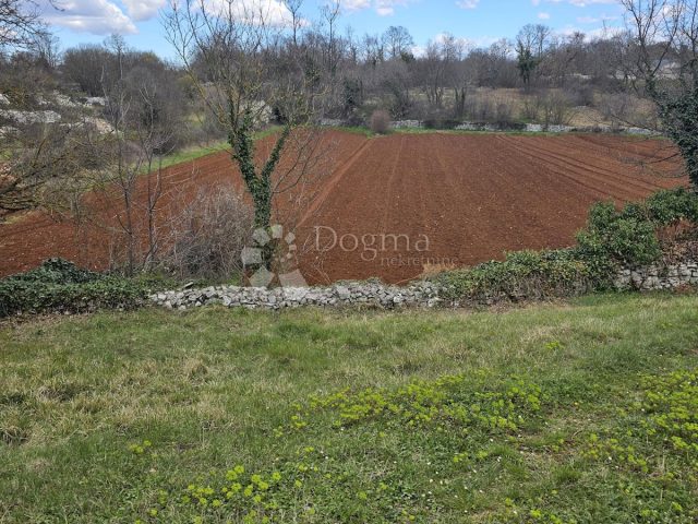 Terrain à vendre 1771 m² – Svetvinčenat
