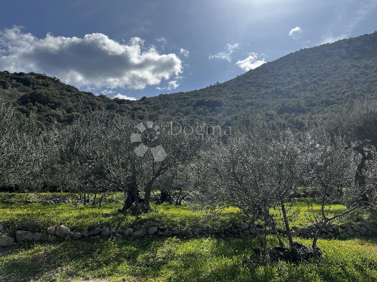 Parcela Na predaj - DUBROVAČKO-NERETVANSKA TRPANJ