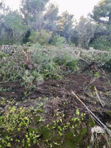Land For sale - Zadarska Pašman - foto 4/4