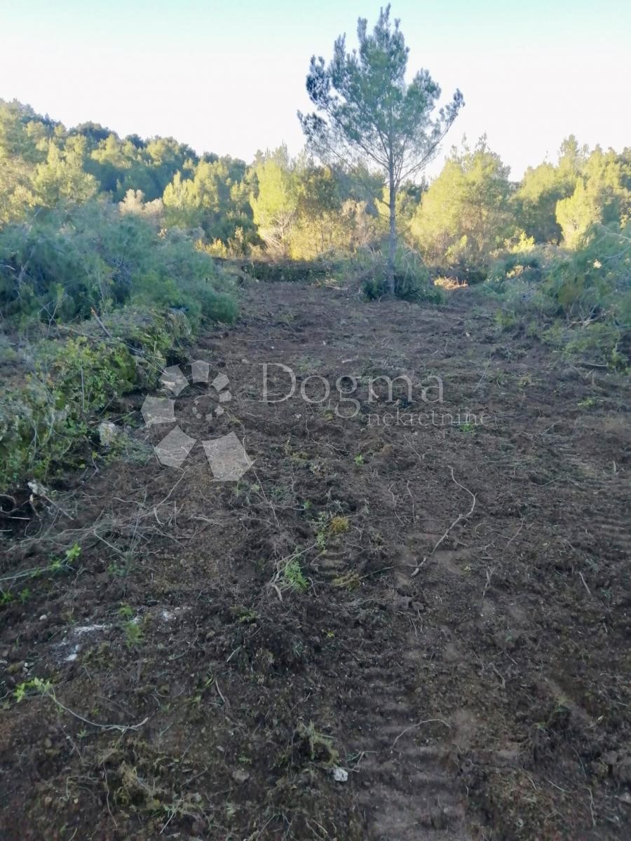 Land For sale - ZADARSKA PAŠMAN