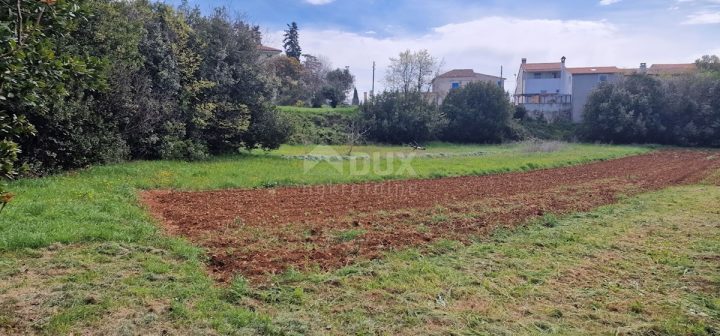 Terreno In vendita - Istarska Vodnjan - foto 3/9