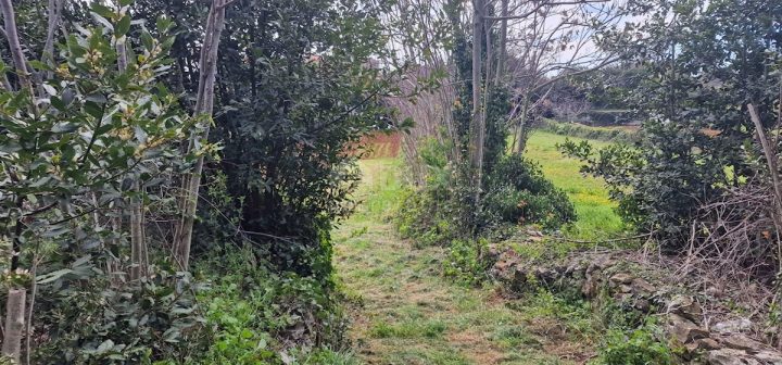 Terreno In vendita - Istarska Vodnjan - foto 5/9