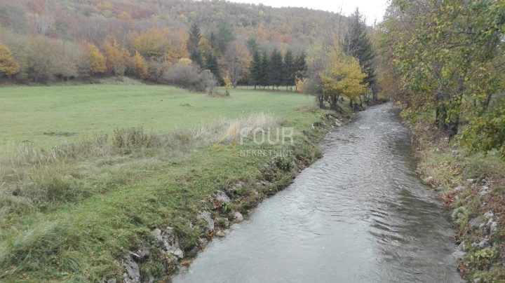 Pozemek na prodej 9587 m² – Klana