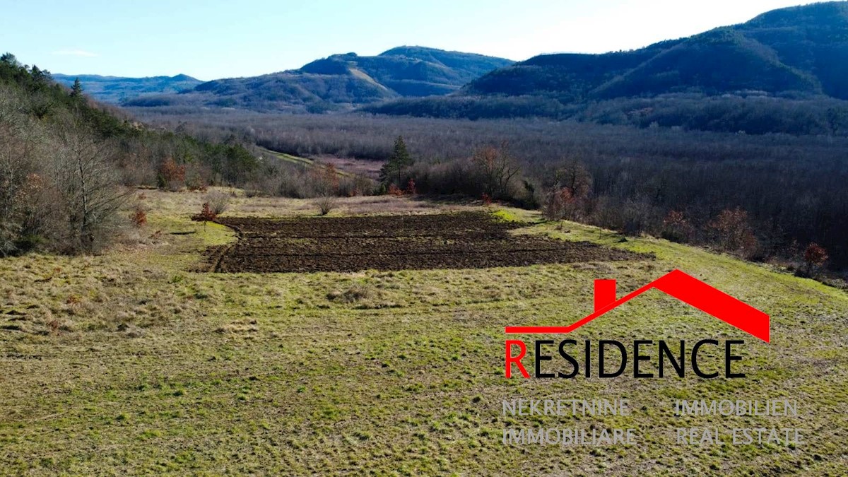 Land For sale - ISTARSKA BUZET