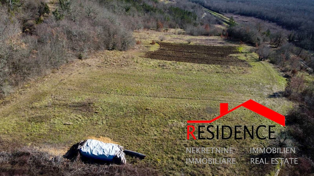 Land For sale - ISTARSKA BUZET