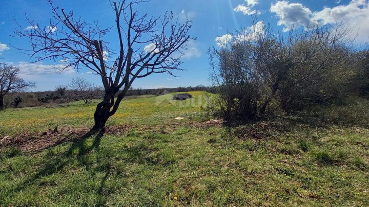 Grundstück Zu verkaufen - Istarska Marčana - foto 2/9