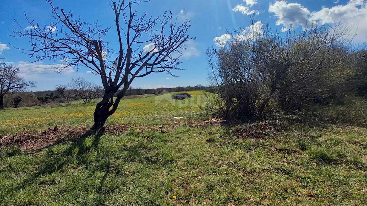 Grundstück Zu verkaufen - Istarska Marčana - foto 2/9