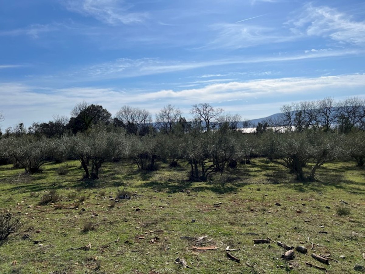 Hiša Na predaj - PRIMORSKO-GORANSKA KRK