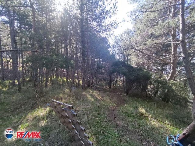 Parcela na predaj 28404 m² – Plomin
