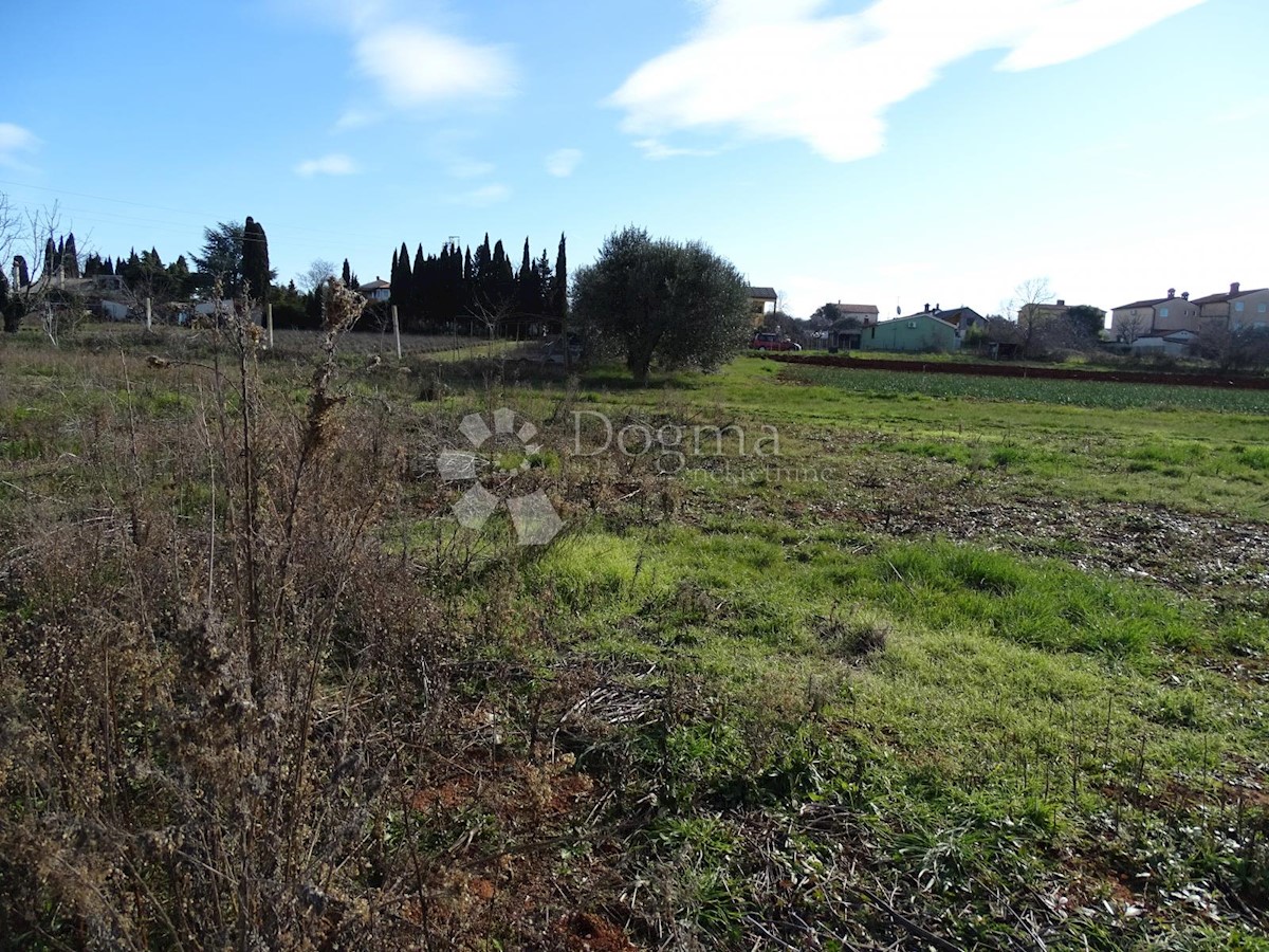 Terrain À vendre - ISTARSKA PULA