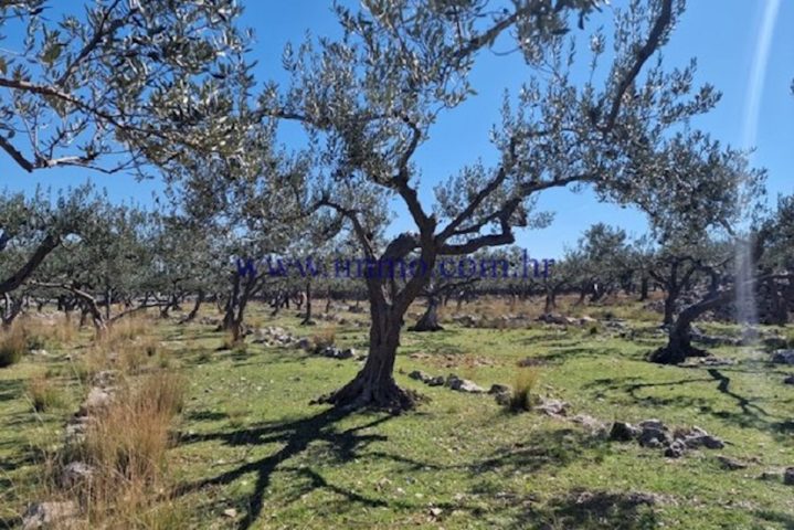 Land For sale - Splitsko-dalmatinska Brač - foto 2/2