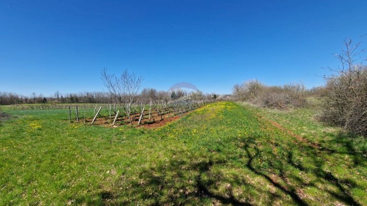 Parcela Naprodaj - Istarska Svetvinčenat - foto 3/3