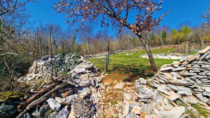 Pozemek Na prodej - Istarska Grožnjan - foto 4/12