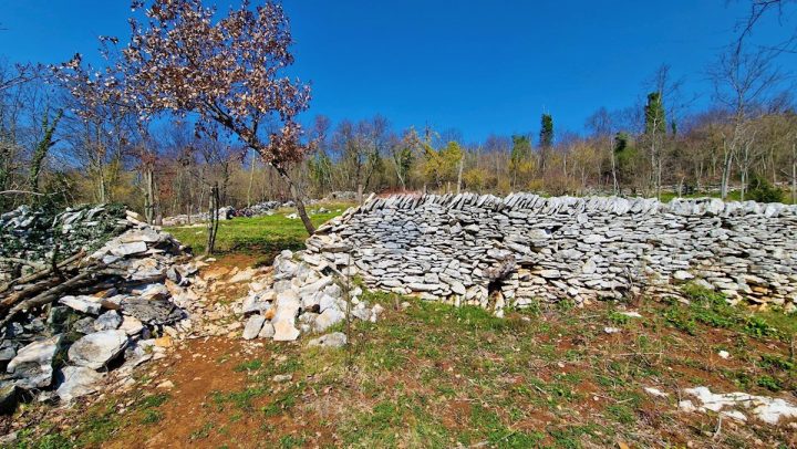 Pozemek Na prodej - Istarska Grožnjan - foto 5/12