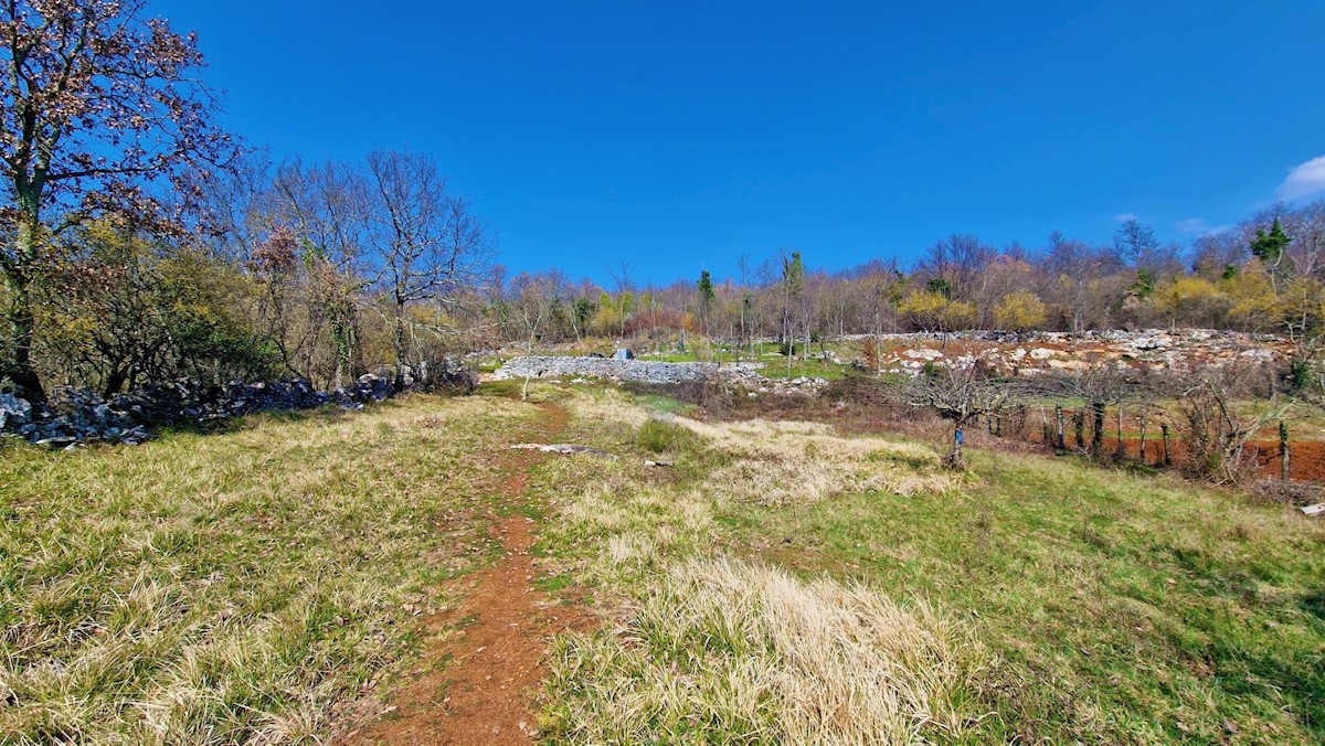 Land For sale - ISTARSKA GROŽNJAN