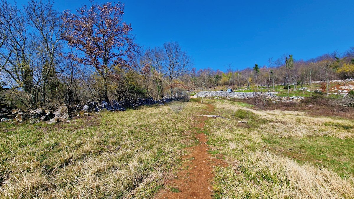 Land For sale - ISTARSKA GROŽNJAN