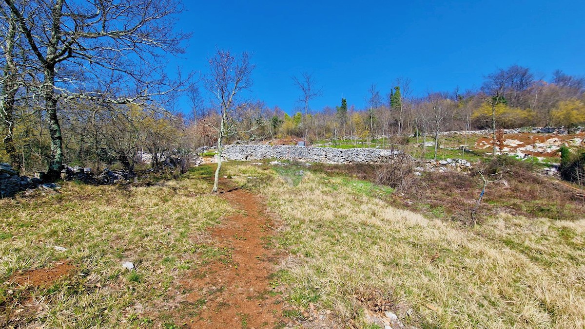 Parcela Naprodaj - ISTARSKA Grožnjan