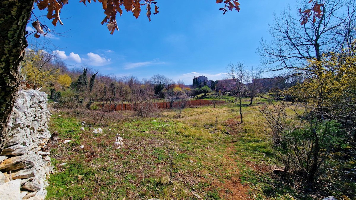 Land For sale - ISTARSKA GROŽNJAN