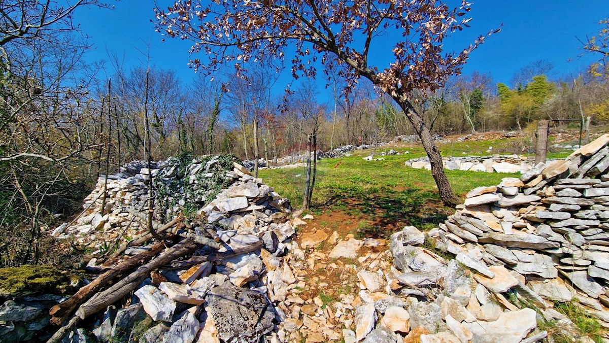 Pozemok Na predaj - ISTARSKA GROŽNJAN